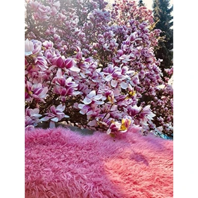 Abbildung von Lammfell Tibet Pink 100 110