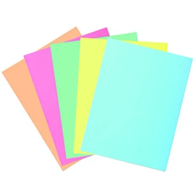 Abbildung von Exacompta Super 250 PACK 5 Hemden für A4 2 Klappen, 24 x 32 cm