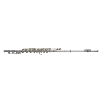 Abbildung von Roy Benson FL 402E Querflöte (Elegante, versilberte Neusilber Querflöte, exklusive E Mechanik, Offset G, umfangreiches Zubehör, für anspruchsvolle Musiker)