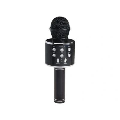 Abbildung von DENVER Karaoke Mikrofon Lautsprecher KMS 20B Portable