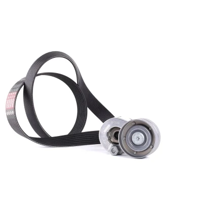 Abbildung von GATES EuroGrip K017PK1125 Keilrippenriemensatz RENAULT: MEGANE 2 Kombi, 3 Coupe, GRAND SCENIC