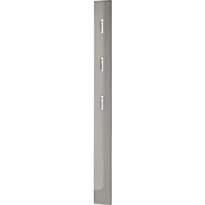 Abbildung von Germania Garderobenpaneel 3255 186, mit DREI ausklappbaren Kleiderhaken aus Metall, in Grau Hochglanz, 15 x 170 3 cm (BxHxT)