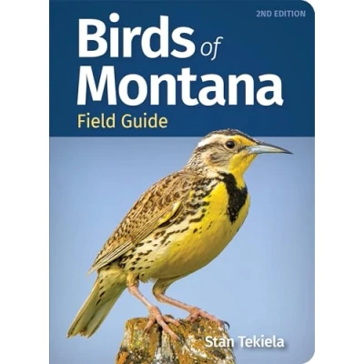 Abbildung von Birds of Montana Field Guide (Bird Identification Guides)