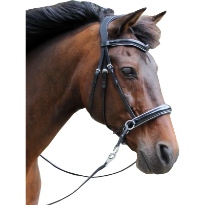 Abbildung von F.R.A. Gebisslose Trense Abbey Schwarz Warmblut