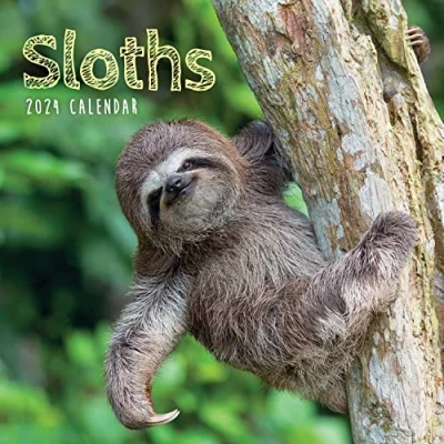 Abbildung von Sloths 2024 Calendar
