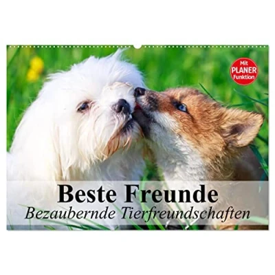 Abbildung von Beste Freunde. Bezaubernde Tierfreundschaften (Wandkalender 2025 DIN A2 quer), CALVENDO Monatskalender