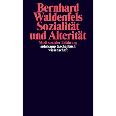 Abbildung von Sozialität und Alterität: Modi sozialer Erfahrung (suhrkamp taschenbuch wissenschaft)