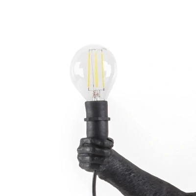 Abbildung von SELETTI LED Leuchtmittel Monkey Lamp Outdoor E14 2 W 24V/36V