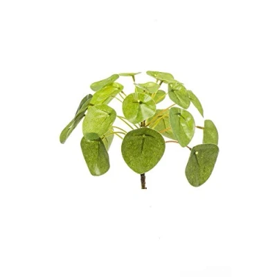 Abbildung von artplants.de Künstliche Sukkulente Glückstaler Sybil auf Steckstab, grün, 13cm Kunstpflanze Pilea