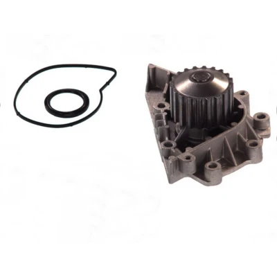Abbildung von THERMOTEC D1P042TT Wasserpumpe 20 mit Dichtung mechanisch 59,3 PEUGEOT: 308 I SW, 206 Schrägheck, 307 CITROËN: C8, C4 Grand Picasso