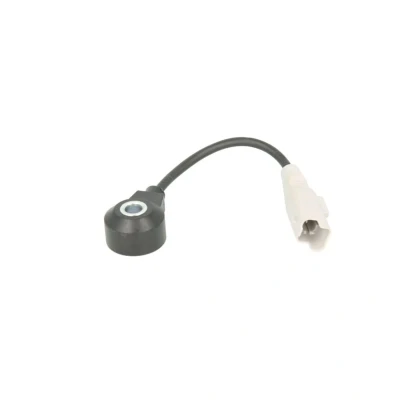 Abbildung von FAE 60249 Klopfsensor PEUGEOT: 307 CC, Schrägheck, 407 Limousine, CITROËN: C5 III Kombi