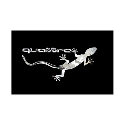 Abbildung von Avisa Nickel Aufkleber &#039;Quattro Gecko&#039; 90x40mm