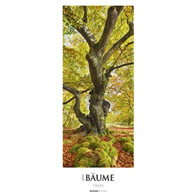 Abbildung von Bäume 2022 Streifenkalender XXL 25x69 cm Bildkalender im Hochformat Wandplaner Wandkalender Bäumekalender