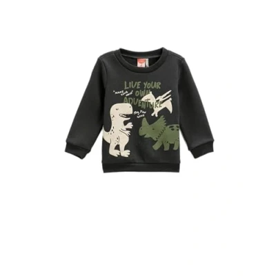 Abbildung von Koton Babyboy Dinosaur Printed Sweatshirt Long Sleeve Crew Neck Cotton