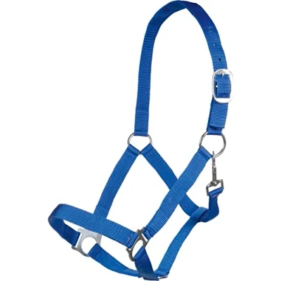Abbildung von HKM Halfter Brisbane Royal Blue Pony