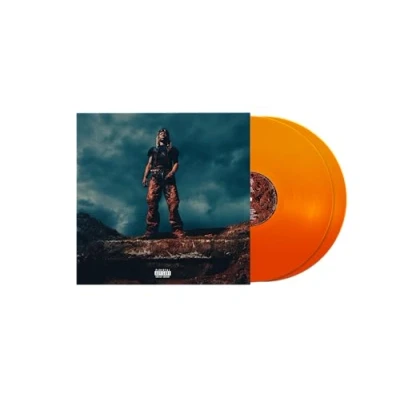 Abbildung von LOVE LASTS FOREVER[Translucent Pumpkin Spice 2 LP] [Alt Cover] [Vinyl
