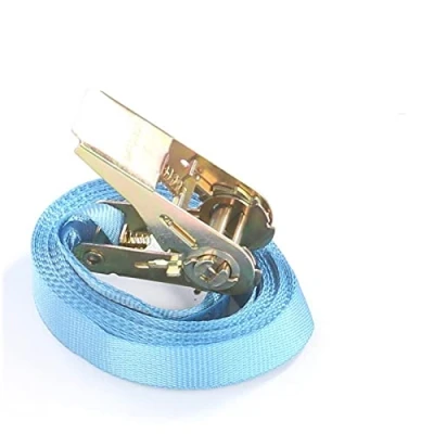 Abbildung von Spanngurt Zurrgurt 6 m bis 500 kg / daN einteilig 1 tlg Ratschengurt blau 25 mm Gurtbreite
