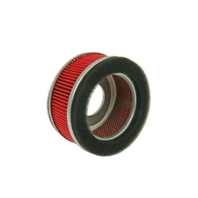 Abbildung von Luftfilter Einsatz Typ 1 rund für REX (Jinan Qingqi, Shenke) RS 125 (QM125T 10H)