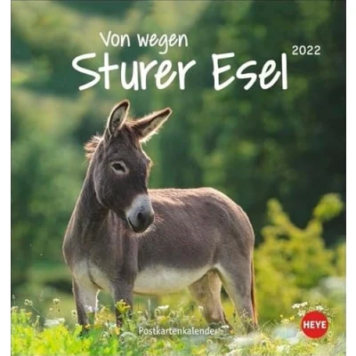 Abbildung von Esel Postkartenkalender 2022: Von wegen sturer
