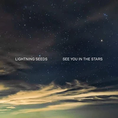 Abbildung von See You in the Stars [Vinyl LP]