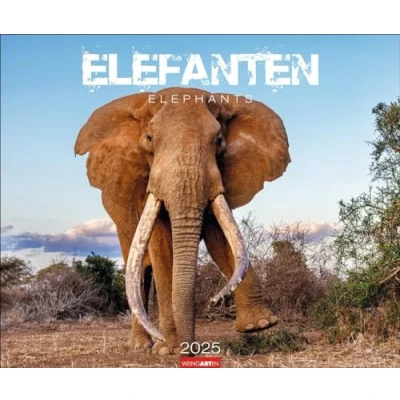 Abbildung von Elefanten Kalender 2025: Die sanften Riesen Afrikas, porträtiert in einem großen Wand Kalender. Hochwertiger Fotokalender voll beeindruckender ... x 46 cm Querformat (Tierkalender Weingarten)