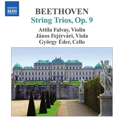 Abbildung von Streichtrios Op.9