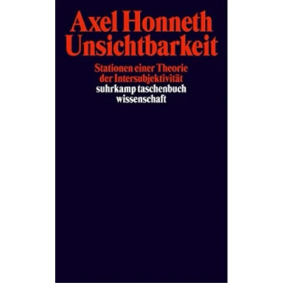 Abbildung von Unsichtbarkeit: Stationen einer Theorie der Intersubjektivität (suhrkamp taschenbuch wissenschaft)