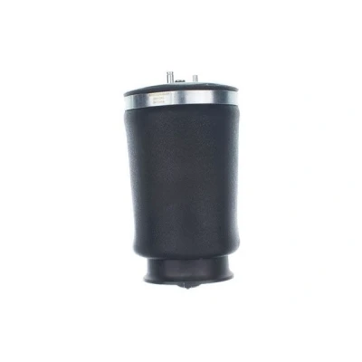 Abbildung von DENCKERMANN DSA128G Luftfeder, Fahrwerk Hinterachse links BMW: 5 Touring