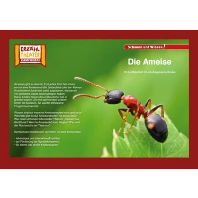 Abbildung von Die Ameise / Kamishibai Bildkarten: 10 Fotobildkarten für das Erzähltheater