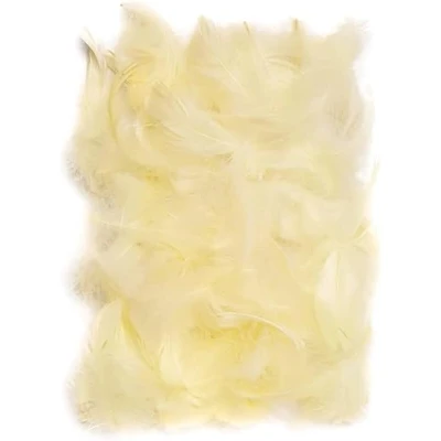 Abbildung von Netuno 150 Stück Ecru Deko Federn 10g Flaumfedern Schmuckfedern Vogelfedern Bastelfedern Natur für DIY Basteln Dekoration Ostern Weihnachten Dekofigur