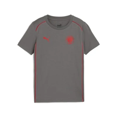 Abbildung von Puma Replicas National FC ST. Pauli Casual Vereinsmannschaften für Kinder, Größe: 164, Graurot