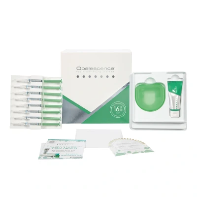 Abbildung von Opalescence PF 16% Mint Patient Kit 8 Spritzen à 1,2ml, 1 Zahncreme 30ml, Aufbewahrungsbox, Farbschlüssel