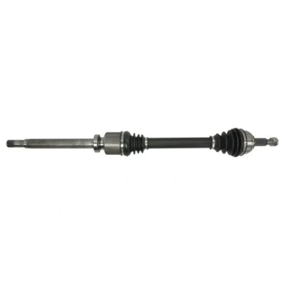 Abbildung von Antriebswelle PASCAL G2R098PC