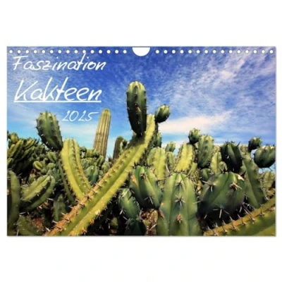 Abbildung von Faszination Kakteen (Wandkalender 2025 DIN A4 quer), CALVENDO Monatskalender