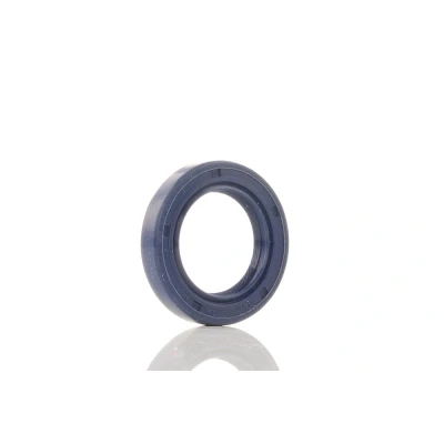 Abbildung von REINZ 81 53224 00 Nockenwellendichtung HONDA: CIVIC 7 Hatchback, 5 Stufenheck, 6 Stufenheck