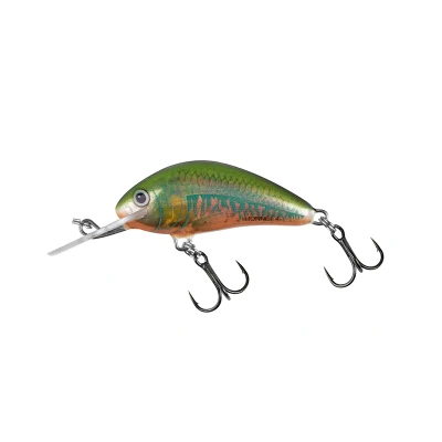 Abbildung von Salmo Hornet 2,5cm 1,5 Sinking 0,5 1,0 Holo Oikawa Wobbler