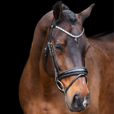 Abbildung von Imperial Riding FW&#039;23 Trensenzaum OlympiaVerkauft von HypoStore