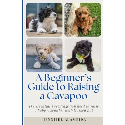 Abbildung von a Beginner&#039;s Guide to Raising Cavapoo: The essential knowledge you need raise happy, healthy, well trained pup