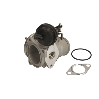 Abbildung von MAGNETI MARELLI 571822112046 AGR Ventil VOLKSWAGEN: Golf 4 Schrägheck, Polo IV Variant, SEAT: Ibiza 3 Leon I Schrägheck