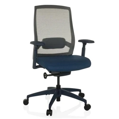 Abbildung von hjh OFFICE Ergonomischer Bürostuhl Colore Profi Drehstuhl, Sitztiefe &amp; Lordosenstütze verstellbar, atmungsaktive Rückenlehne, Blau