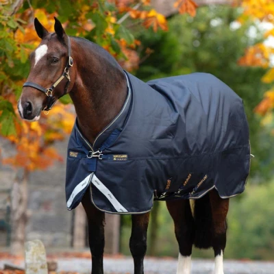 Abbildung von Amigo Bravo 12XL Original Turnout Medium 250g Navy/Gold 155/206