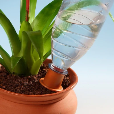 Abbildung von Maximex Bewässerungs Spikes 6er Set, gleichmäßige Wasserversorgung von Pflanzen, für alle Wasser oder Colaflaschen geeignet, einfache Bedienung, Maße (L x Ø) 1er: 14,9 3 cm