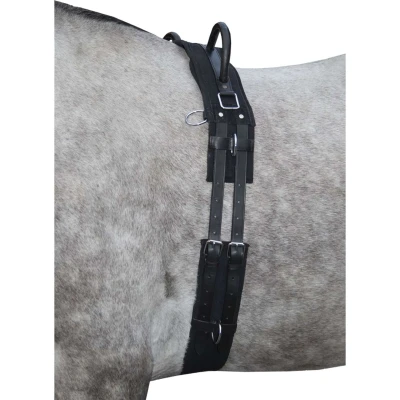 Abbildung von HKM Longiergurt Canvas mit Doppelter Handgriff Schwarz Pony