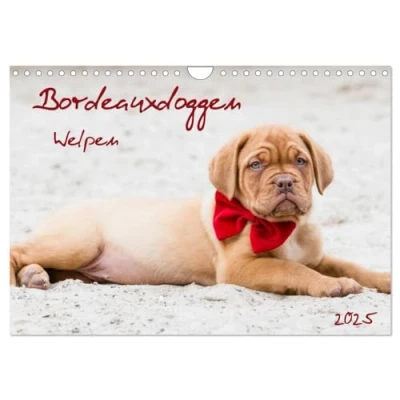 Abbildung von Bordeauxdoggen Welpen (Wandkalender 2025 DIN A4 quer), CALVENDO Monatskalender