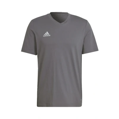 Abbildung von adidas Performance Entrada TEE Tshirt print, Herren, Größe: Small, Grey