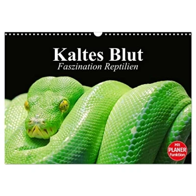 Abbildung von Kaltes Blut. Faszination Reptilien (Wandkalender 2025 DIN A3 quer), CALVENDO Monatskalender