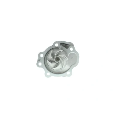 Abbildung von Wasserpumpe AISIN WPS 055V