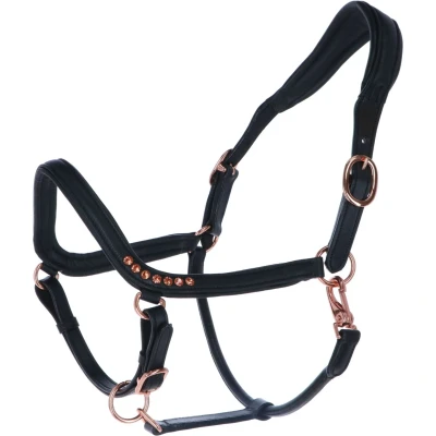 Abbildung von HB Showtime Halfter Anatomic Schwarz Vollblut