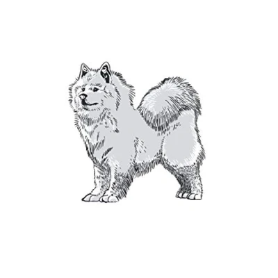 Abbildung von Samojede Notizbuch: Schlittenhund Samojeden Geschenk / 6x9 Zoll 120 linierte Seiten