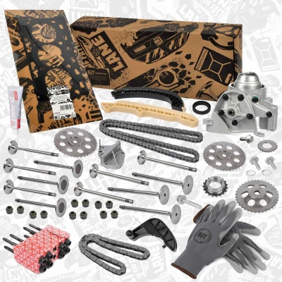 Abbildung von ET ENGINETEAM RS0087VR1 Steuerkettensatz SKODA: Fabia 2 Schrägheck, Combi, Roomster, SEAT: Ibiza 4 Sportcoupe, Schrägheck